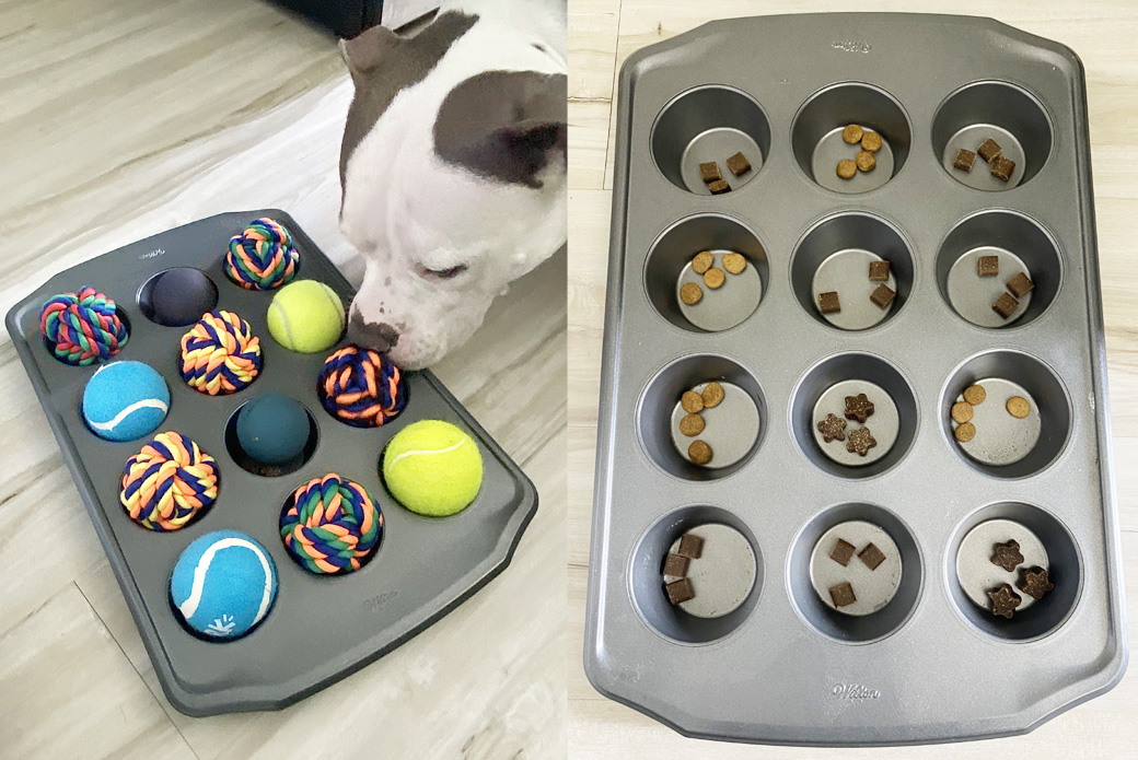 Easy Dog Enrichment DIY Using A Muffin Tin - Dogs Don't Wear Pants