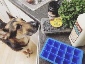 DIY frozen dog treats